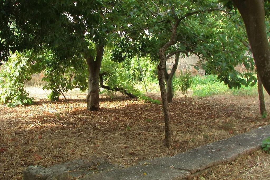 Villa Nel Salento - Ampie Camere E Giardino, Fino A 9 Persone Barbarano del Capo Kültér fotó